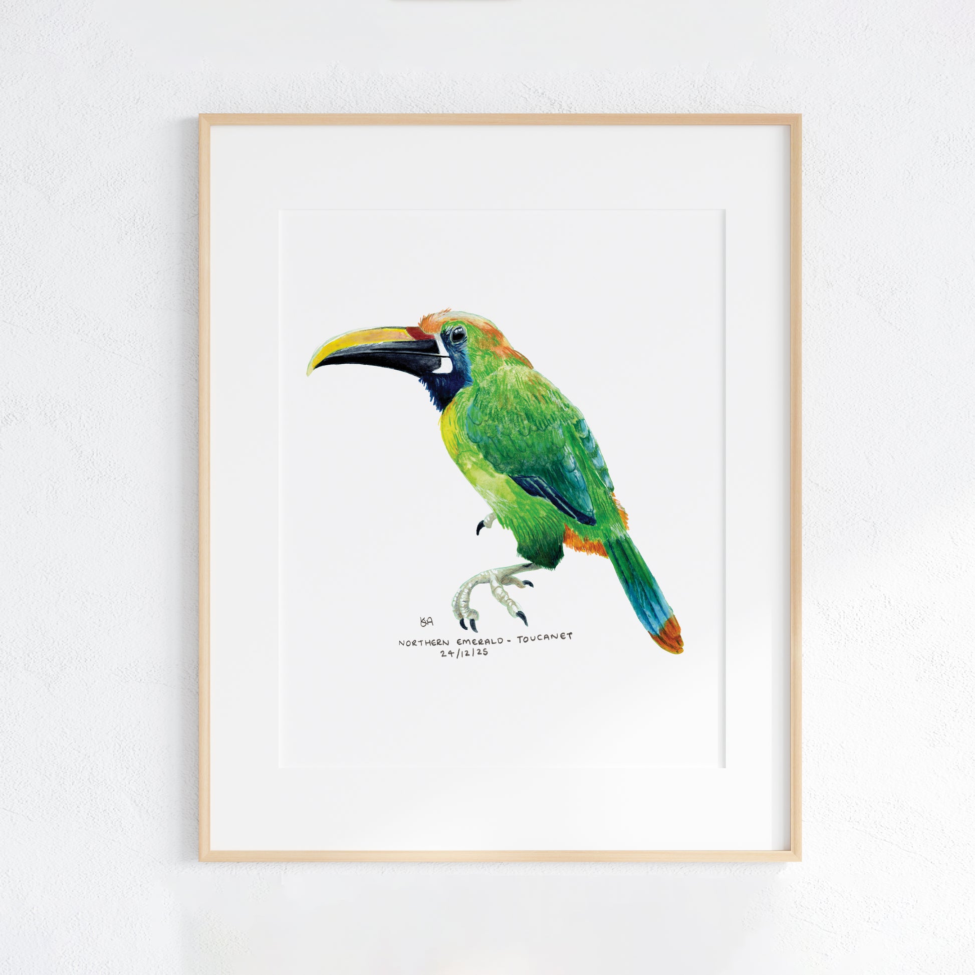 Framed artwork of a colourful Northern Emerald Toucanet on a white background
