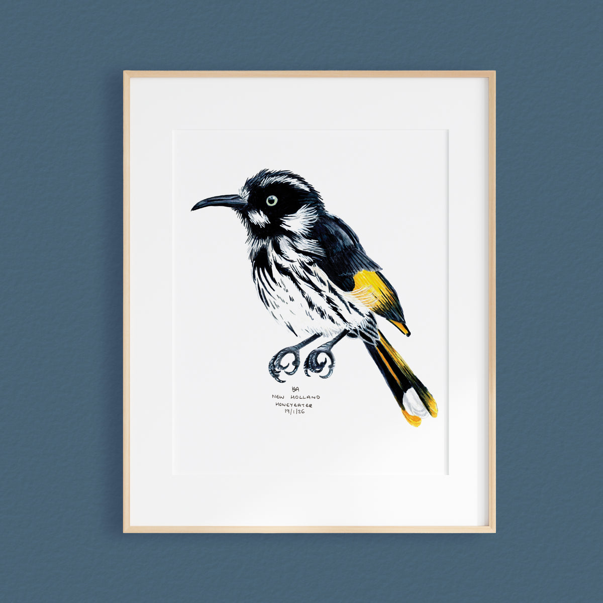 A framed mixed media original painting of a New Holland Honey-Eater, featuring a light wood frame and white matting, displayed against a textured paynes grey wall.