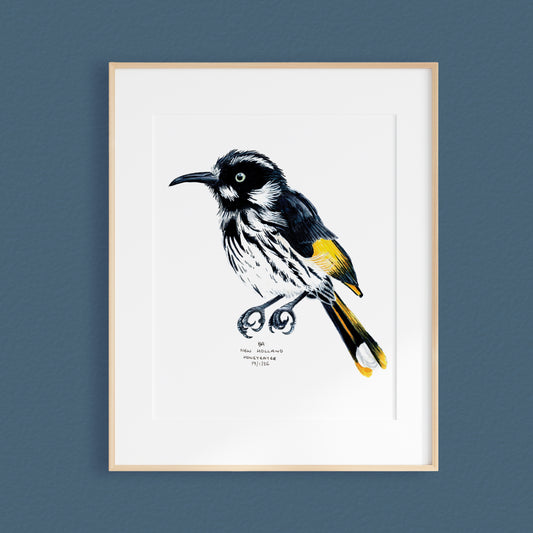 A framed mixed media original painting of a New Holland Honey-Eater, featuring a light wood frame and white matting, displayed against a textured paynes grey wall.