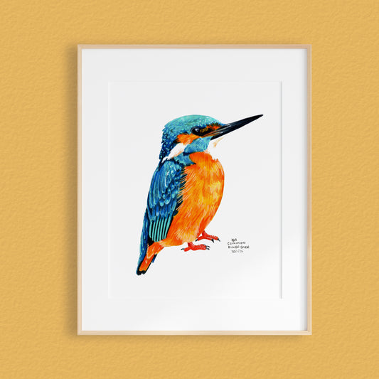 A framed mixed media original painting of a Kingfisher, featuring a light wood frame and white matting, displayed against a textured pale orange wall.