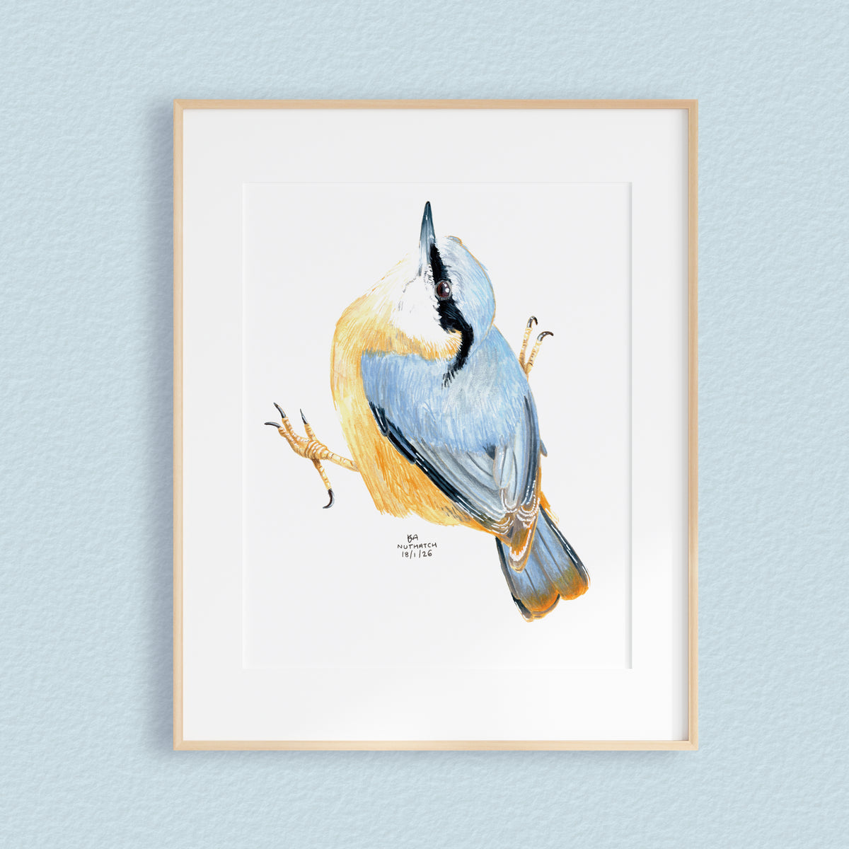 A framed mixed media original painting of a Nuthatch, featuring a light wood frame and white matting, displayed against a textured pale blue wall.