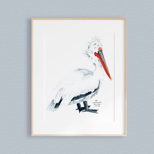 A framed mixed media original painting of a Dalmatian Pelican, featuring a light wood frame and white matting, displayed against a textured light pale blue wall.