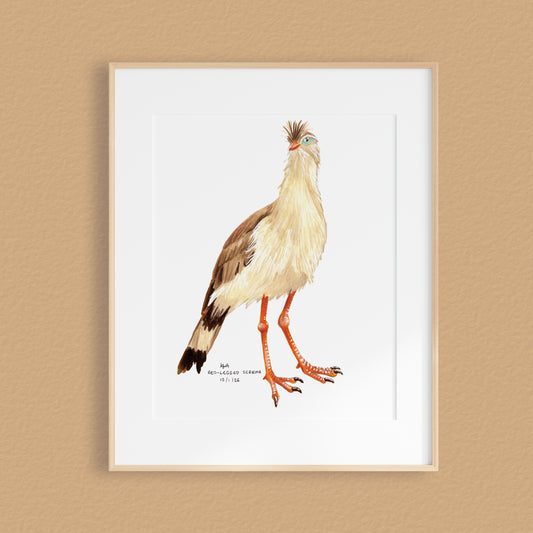 A framed artwork featuring a detailed watercolor illustration of a crested bird with brown, cream, and black feathers, orange legs, and a small black-and-white inscription near the bottom, displayed on a warm beige wall.