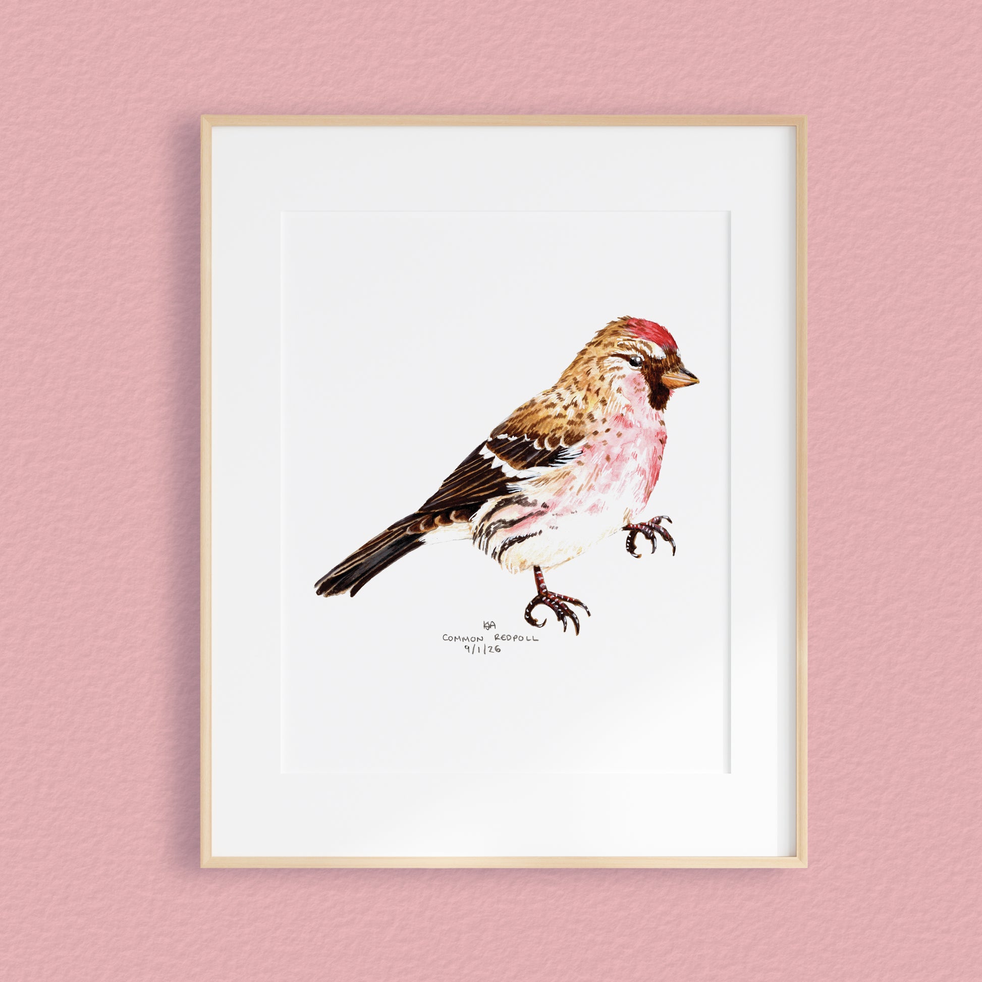 A framed mixed media original painting of a common redpoll bird, featuring a light wood frame on white, displayed against a textured pale pink wall.