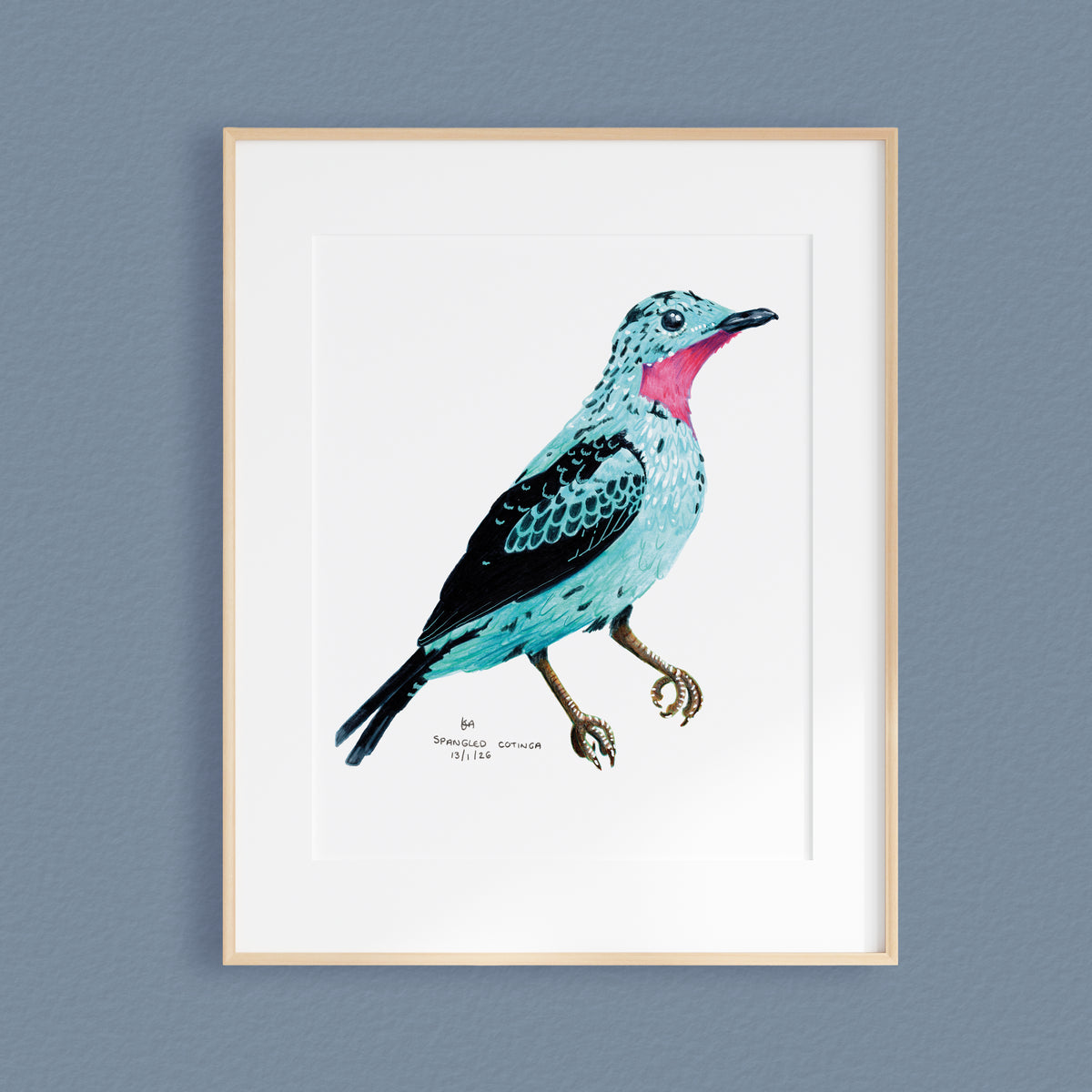Framed bird Original artwork featuring a turquoise and black bird with a bright pink chest, mounted with a white picture mount within a light wood frame against a textured blue-gray wall.