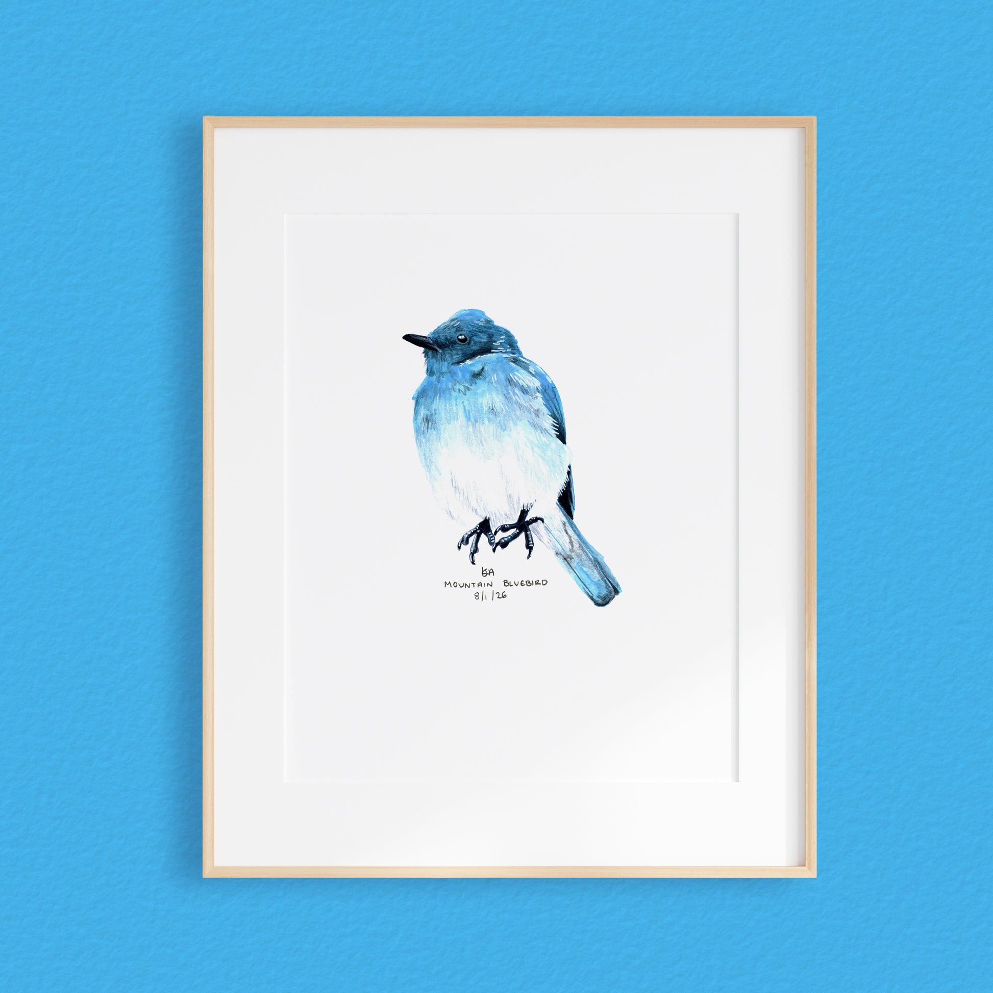 A framed mixed media original painting of a Blue mountain bird, featuring a light wood frame on white, displayed against a textured blue wall.