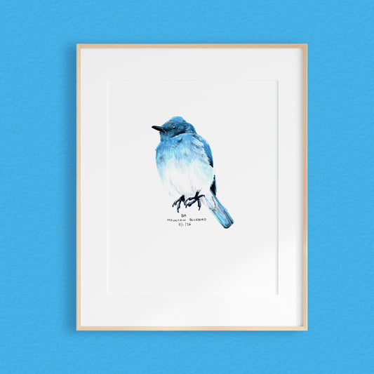A framed mixed media original painting of a Blue mountain bird, featuring a light wood frame on white, displayed against a textured blue wall.