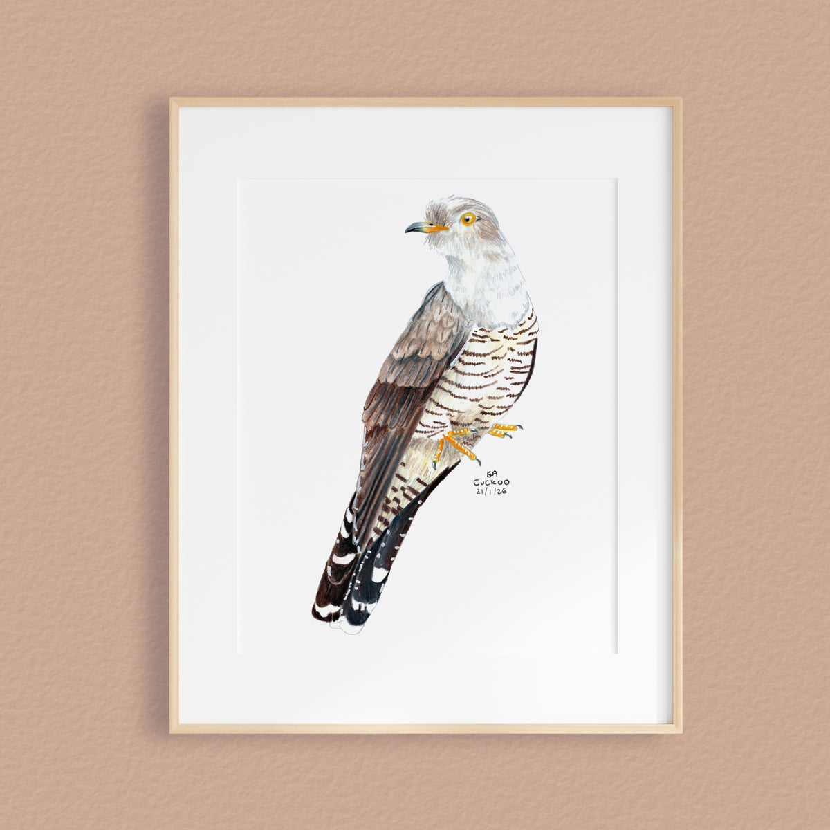 A framed mixed media original painting of a Cuckoo, featuring a light wood frame and white matting, displayed against a textured pale brown wall.