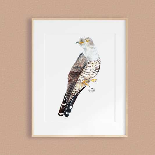 A framed mixed media original painting of a Cuckoo, featuring a light wood frame and white matting, displayed against a textured pale brown wall.