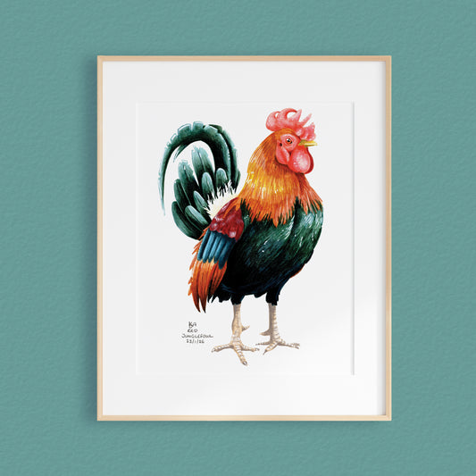 A framed mixed media original painting of a red jungle fowl rooster, featuring a light wood frame and white matting, displayed against a textured teal wall.