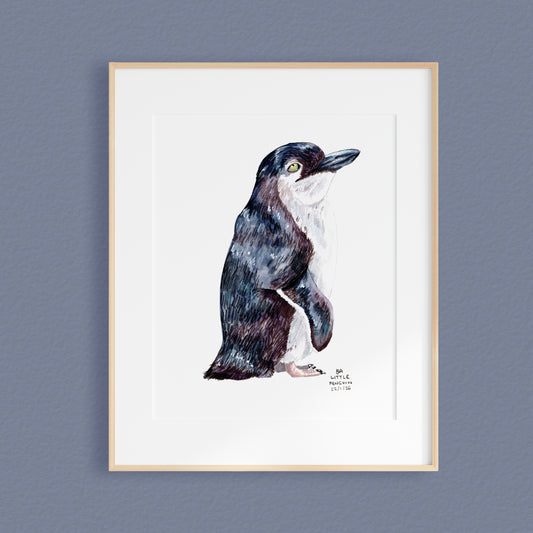 A framed mixed media original painting of a Little Penguin, featuring a light wood frame and white matting, displayed against a textured blue grey wall.