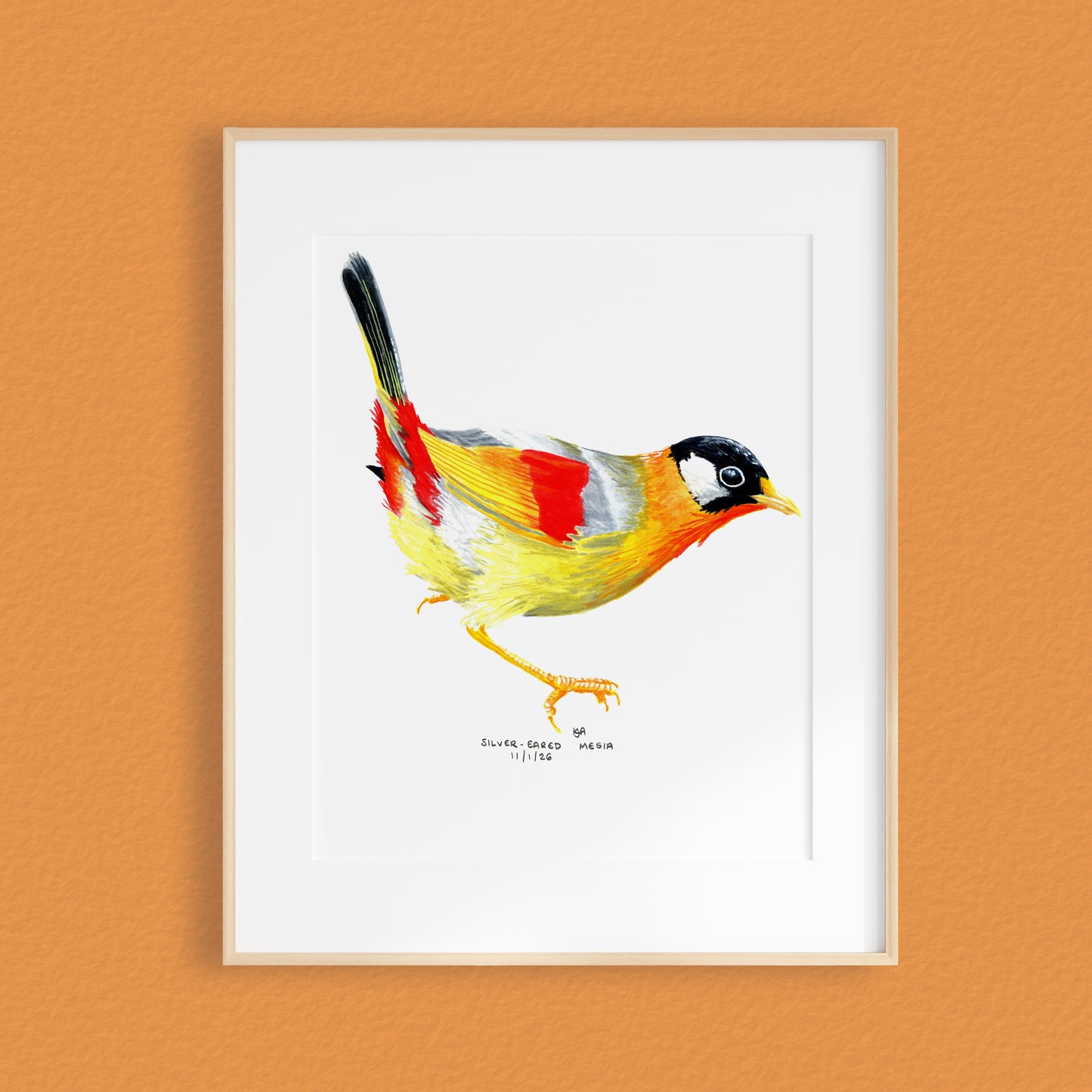 A framed mixed media original painting of a Sliver Eared Mesia, featuring a light wood frame on white, displayed against a textured orange wall.