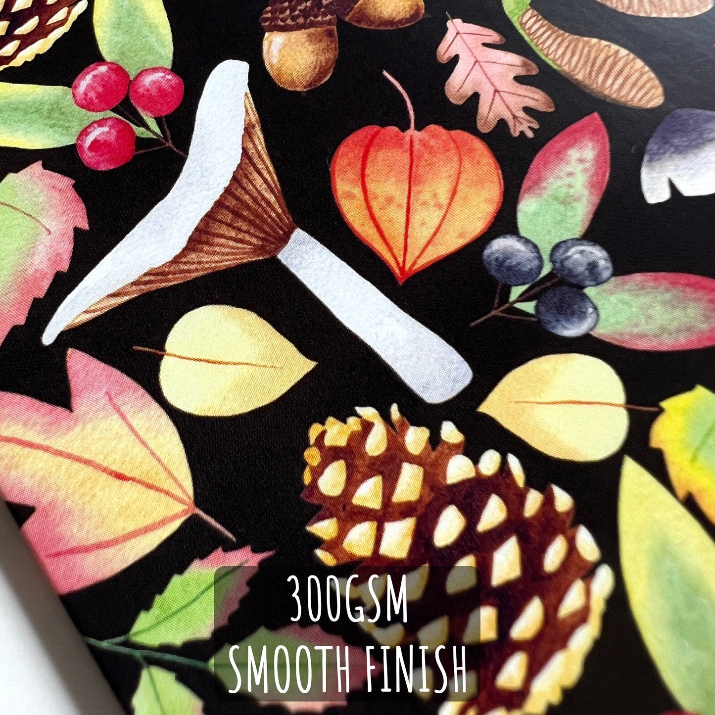 Autumn, Fall Note Cards Set