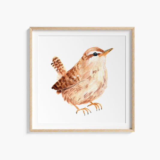 Wren Bird Art Print - Square Unframed Garden Wildlife Illustration
