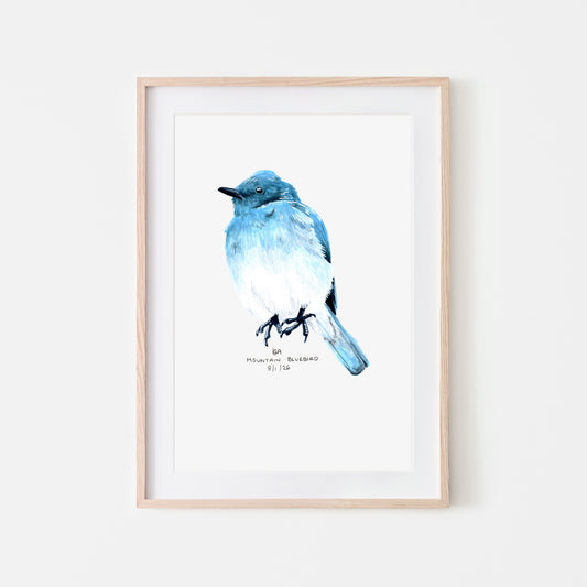 Framed artwork of a mountain blue bird on a white background