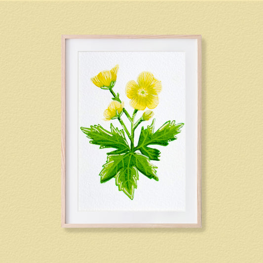 A framed mixed media original painting of a yellow buttercup flower featuring a light wood frame on white background, displayed against a textured pale yellow wall.
