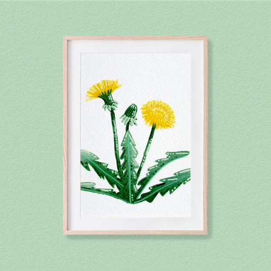 A framed mixed media original painting of a Dandelion featuring a light wood frame on white, displayed against a textured pale mint green wall.