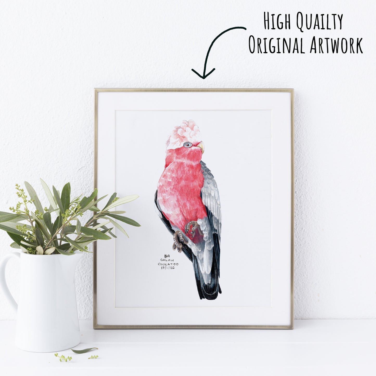Framed artwork of a pink and grey galah cockatoo bird on a white wall with a plant to the left.