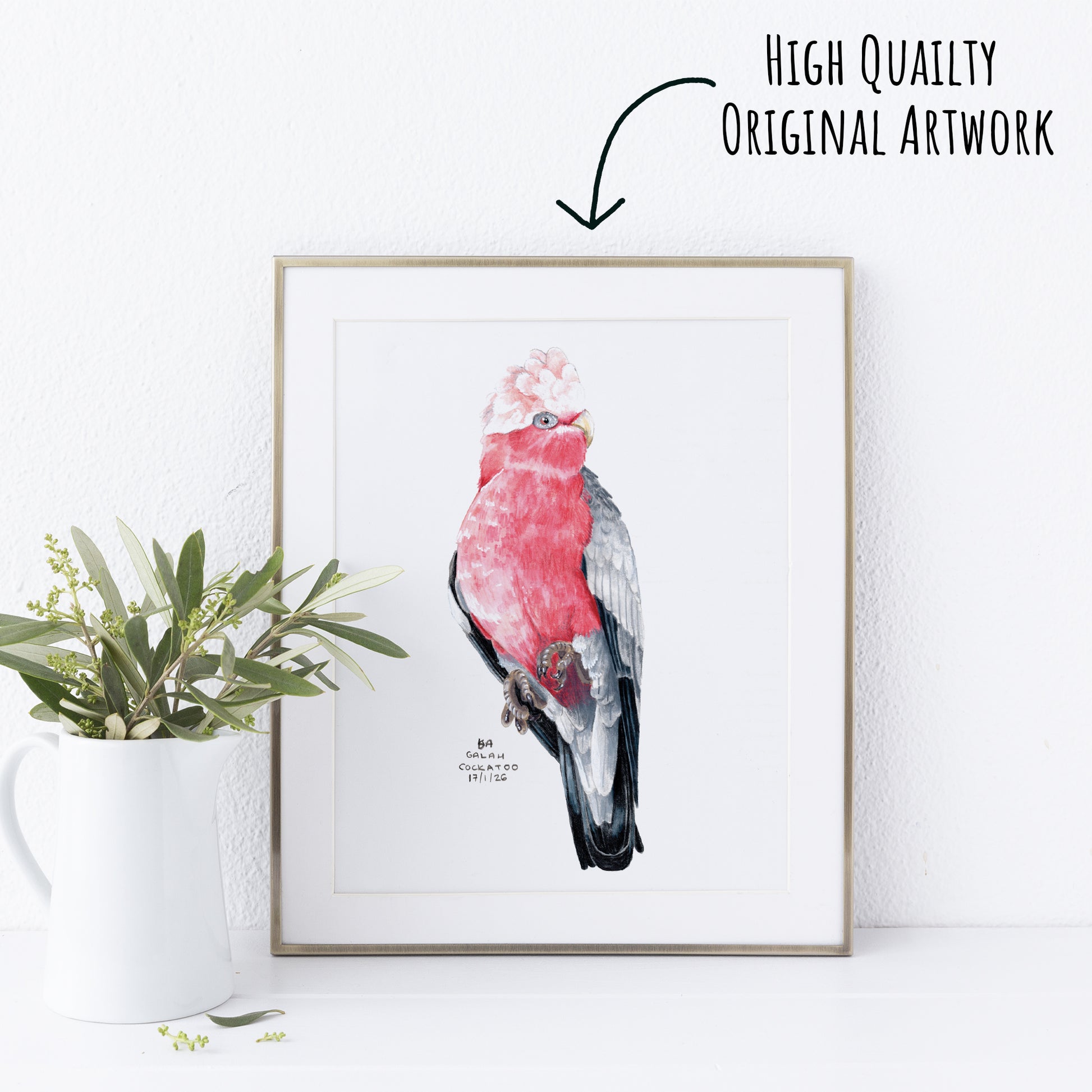 Framed artwork of a pink and grey galah cockatoo bird on a white wall with a plant to the left.