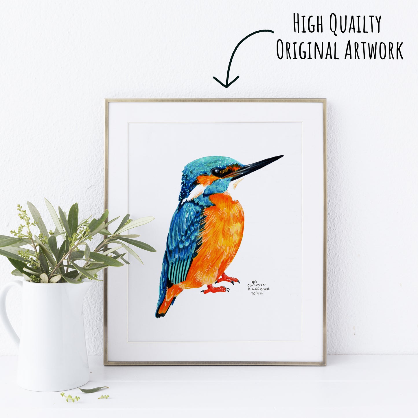 Framed artwork of a colourful kingfisher bird on a white wall with a plant to the left.