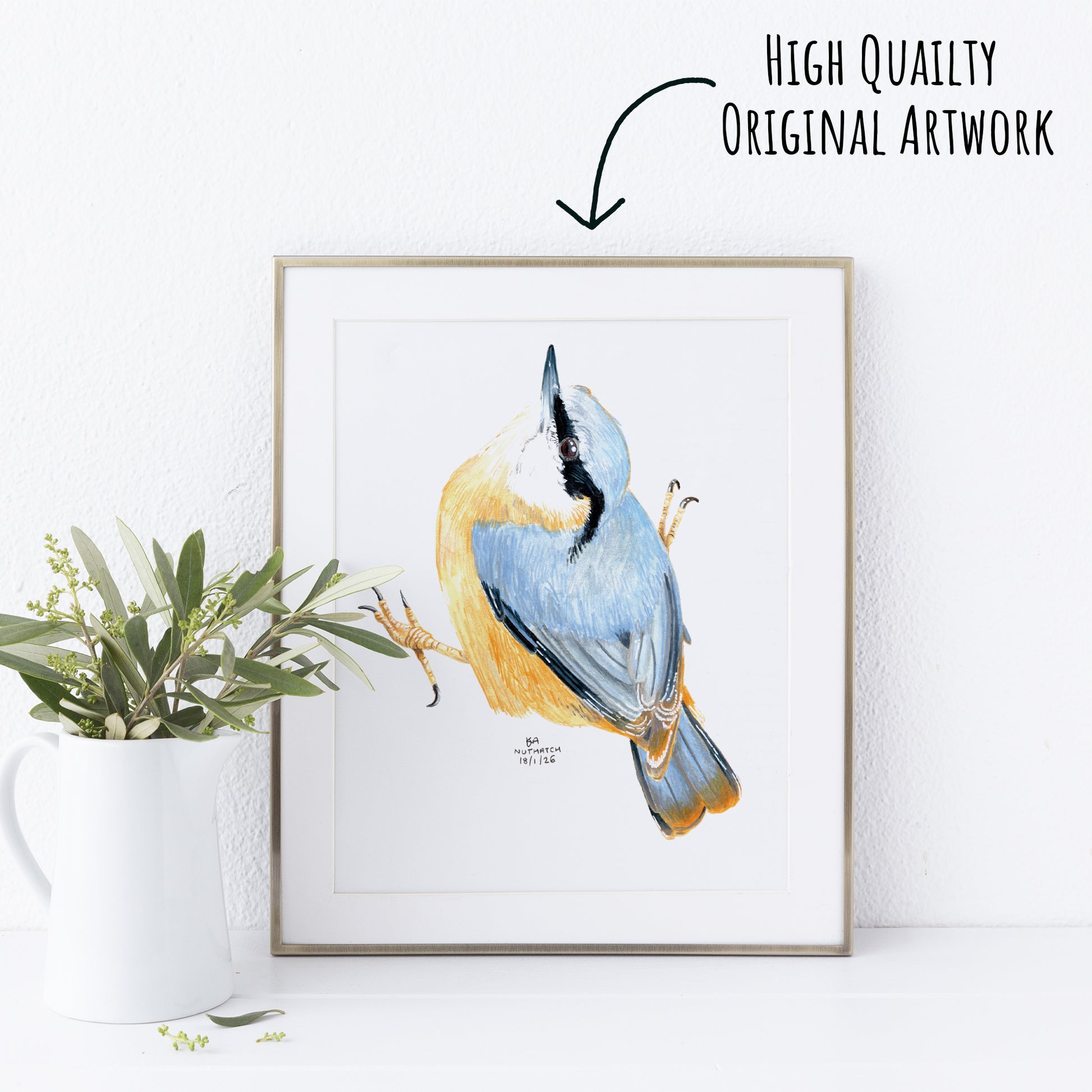 A framed artwork of a nuthatch woodland bird it a white vase with green foliage on the left with a white background.