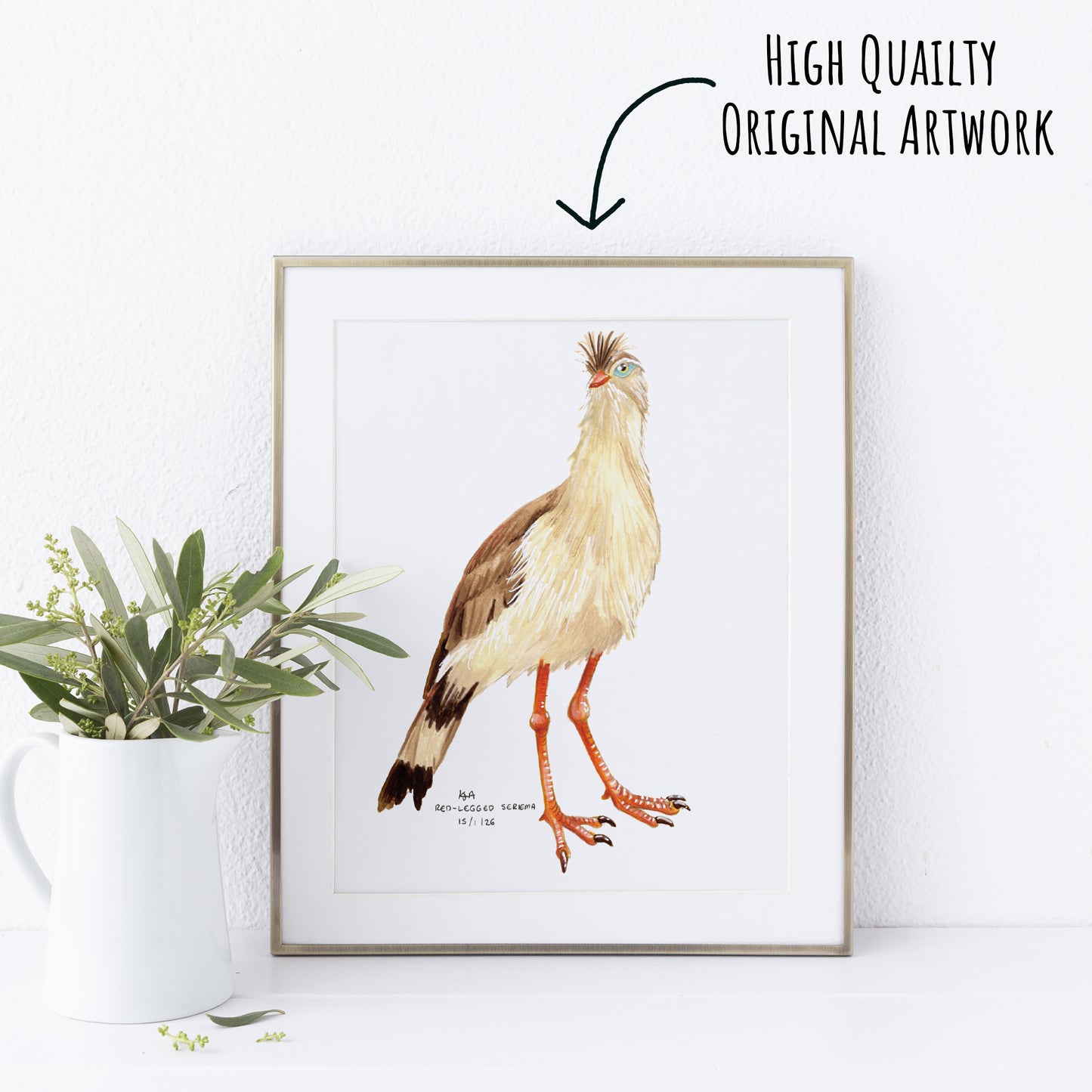 Framed artwork of a Red-Legged Seriema bird on a white wall with a plant to the left.