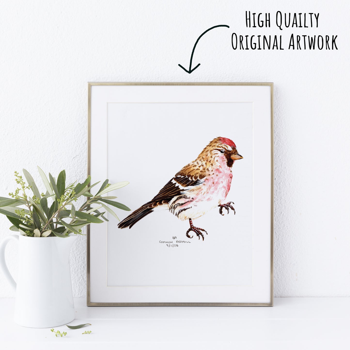 Framed artwork of a common redpoll bird with a plant on a white wall