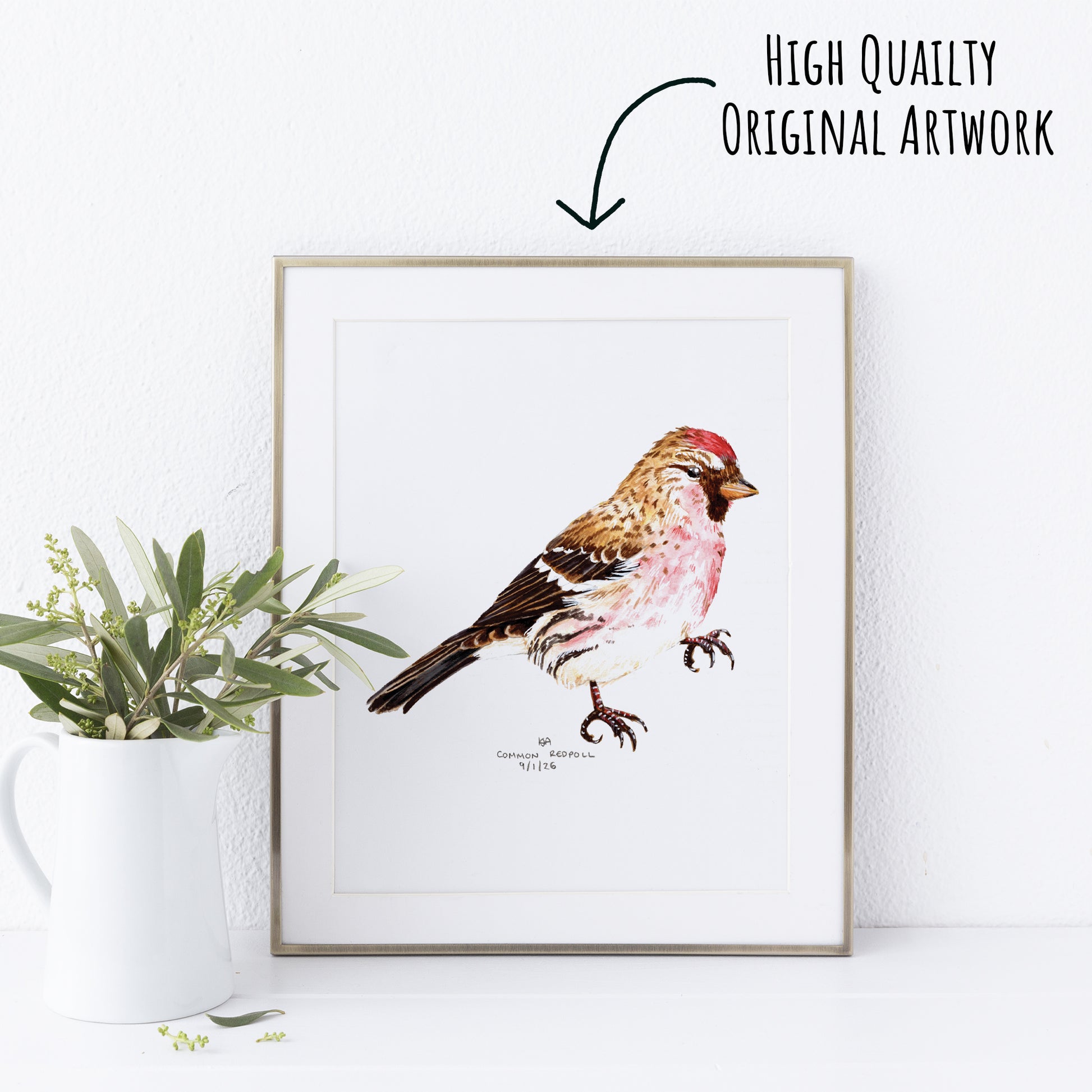 Framed artwork of a common redpoll bird with a plant on a white wall