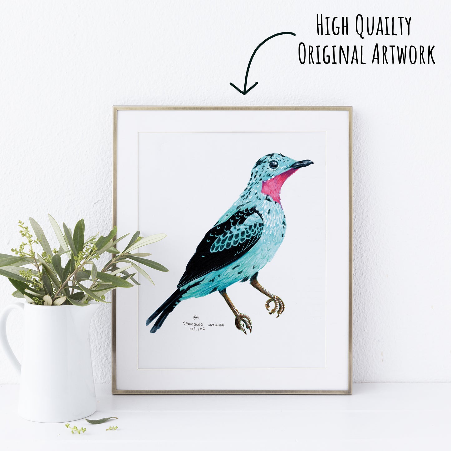 Framed artwork of a Spangled Cotinga blue bird with pink accents on a white wall. with a white vase with foliage on the left hand side.