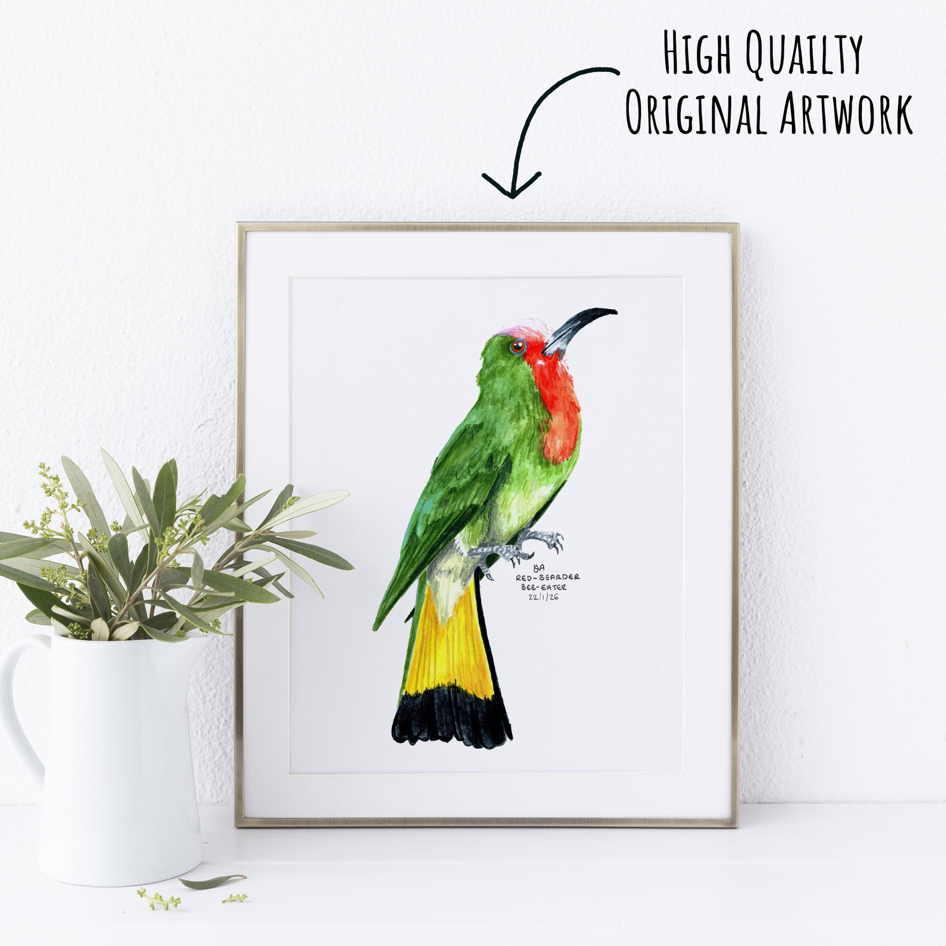 Framed artwork of a colourful Red-bearded Bee-eater bird on a white wall with a plant to the left.