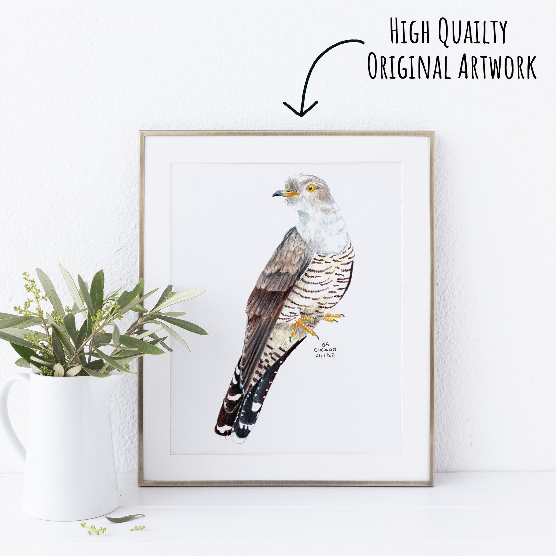 Framed artwork of a cuckoo bird on a white wall with a plant to the left.