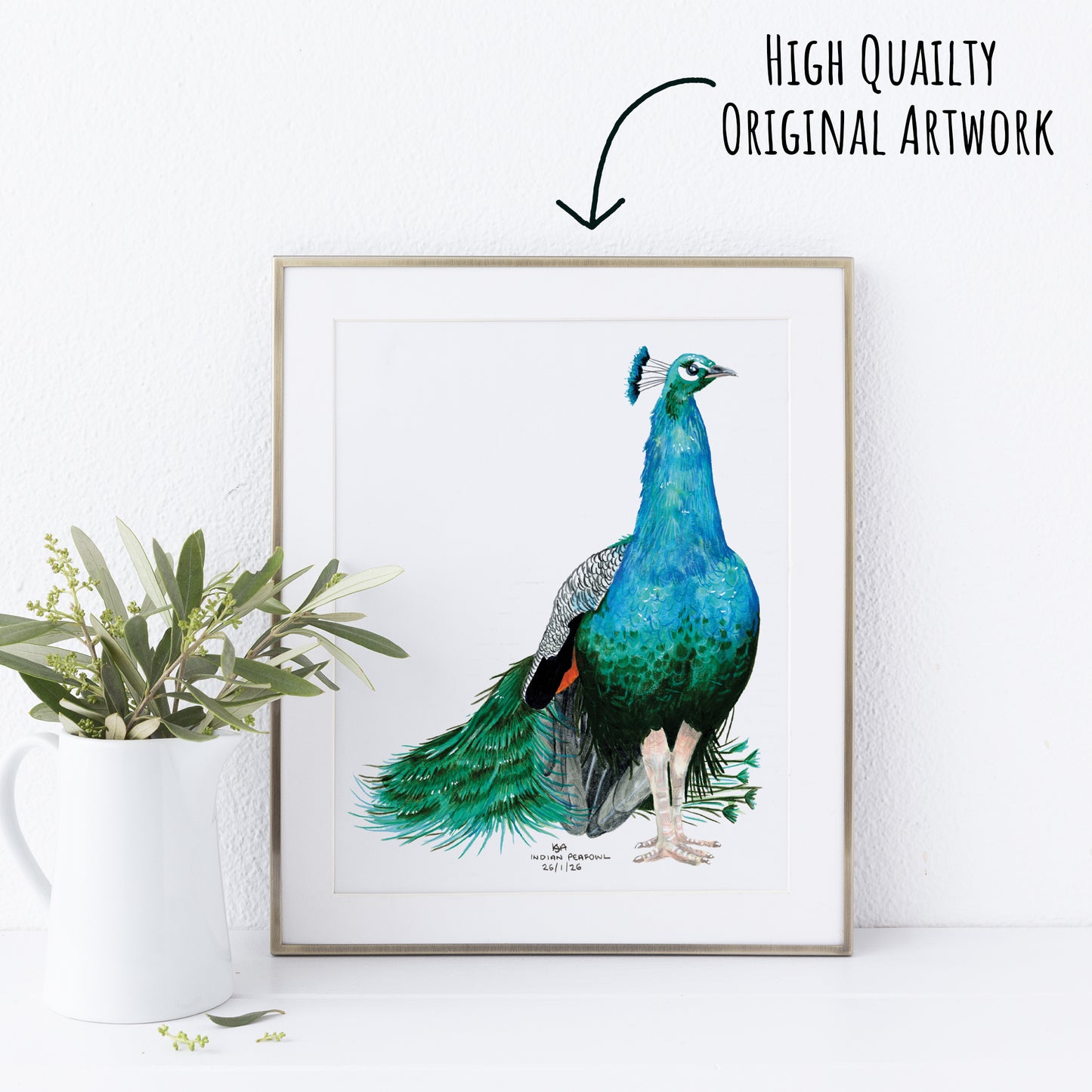 Framed artwork of a peacock on a white wall with a plant to the left.