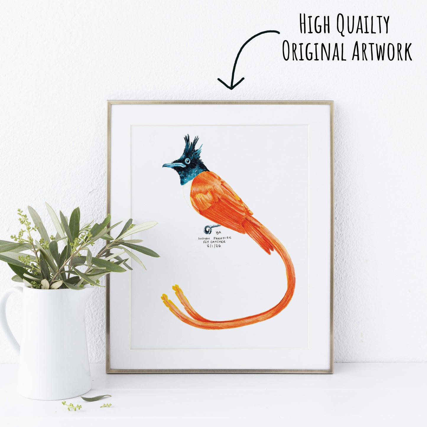 Framed artwork of a colourful orange and blue-black Indian paradise flycatcher bird bird on a white wall with a plant to the left.