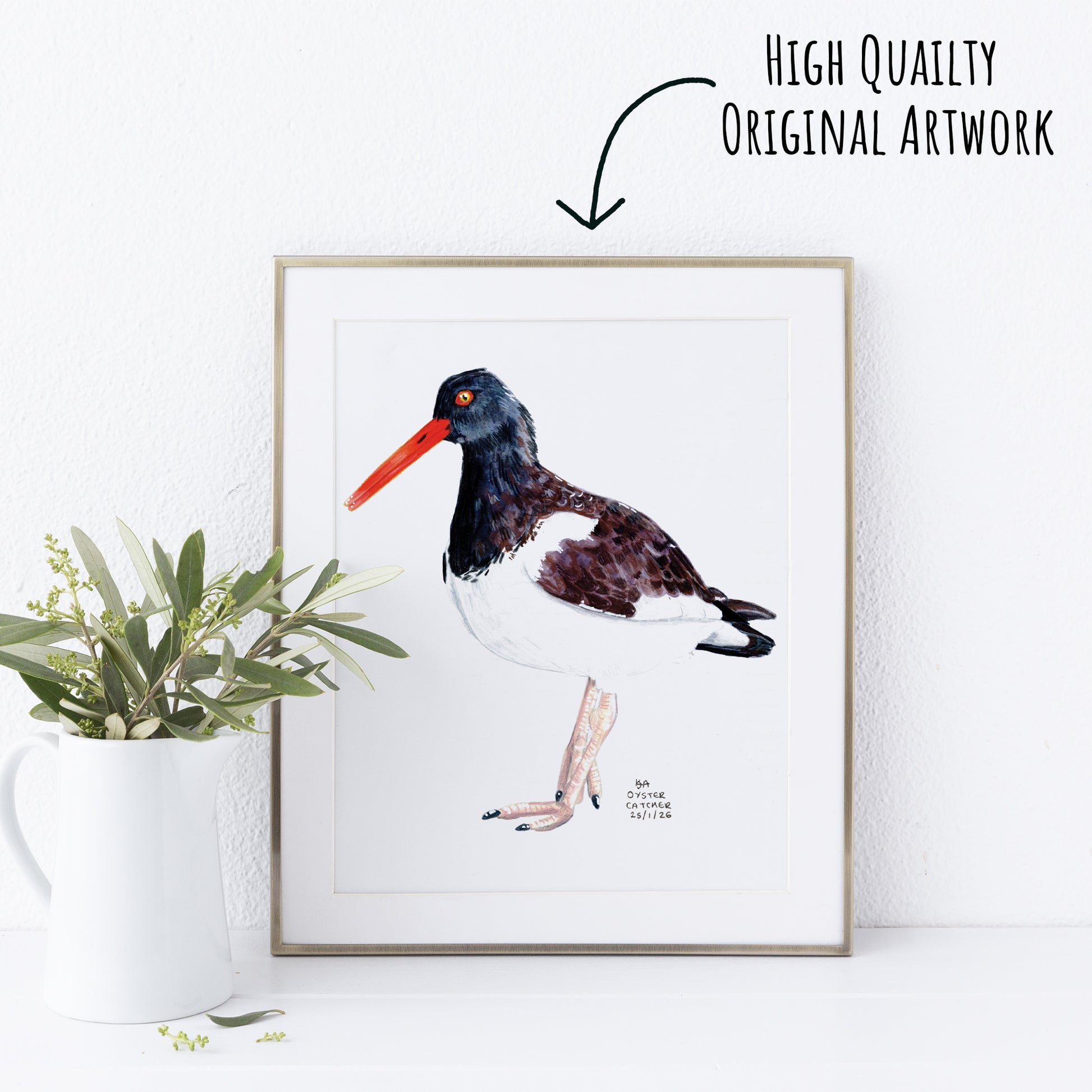 Framed artwork of a oyster catcher bird with a plant on a white surface