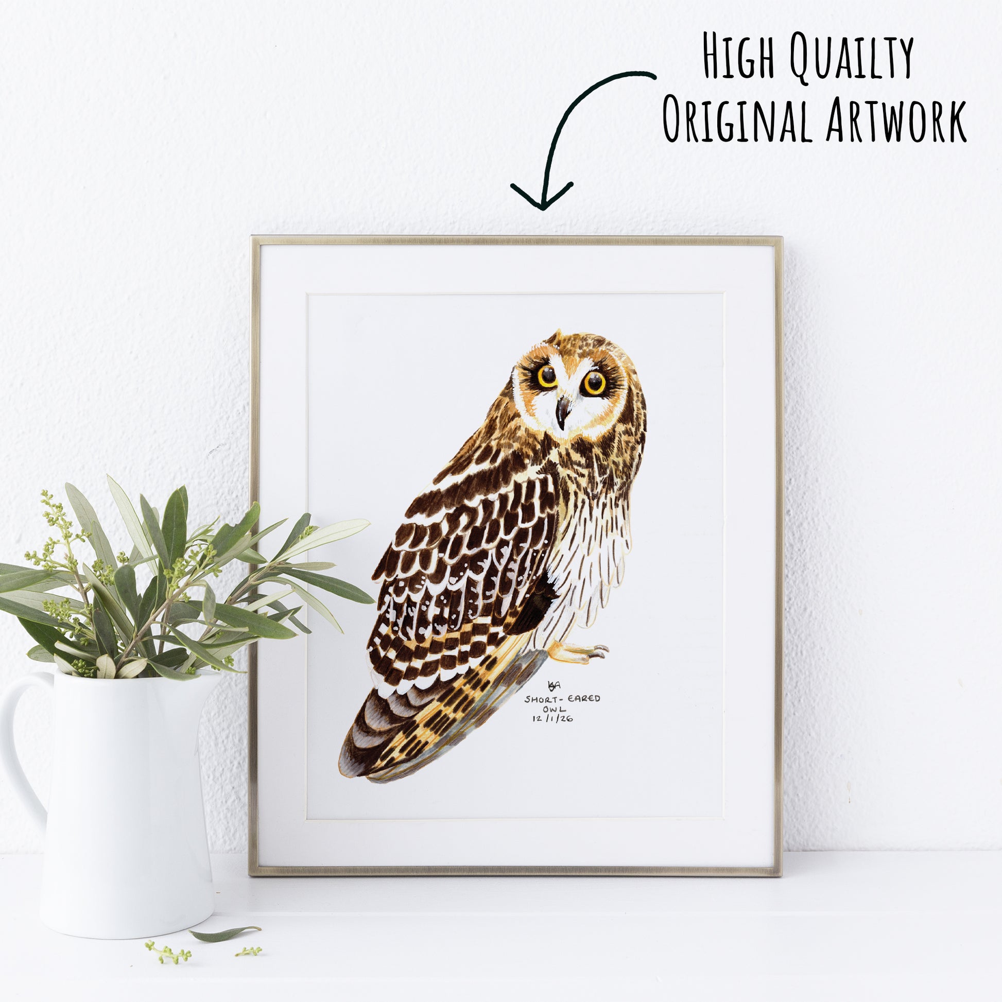 Framed artwork of an short eared owl on a white wall with a plant to the left.