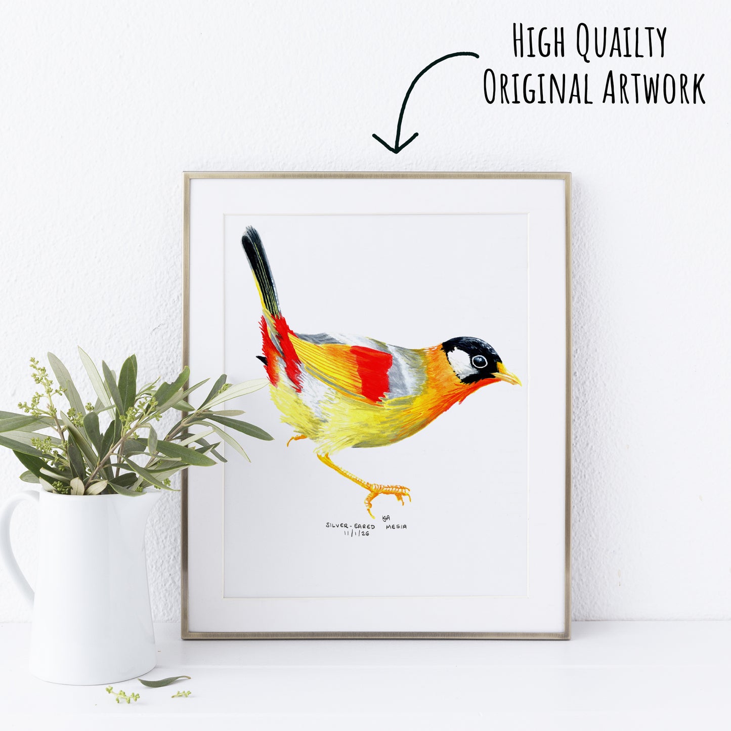 Framed artwork of a colorful Sliver Eared Mesia bird on a white wall with a plant beside it.