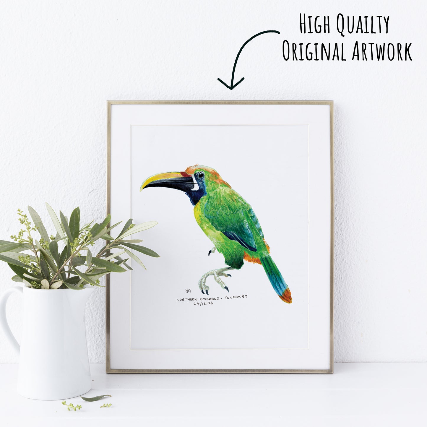 Framed artwork of a colourful Northern Emerald Toucanet  brid on a white wall with a plant to the left.