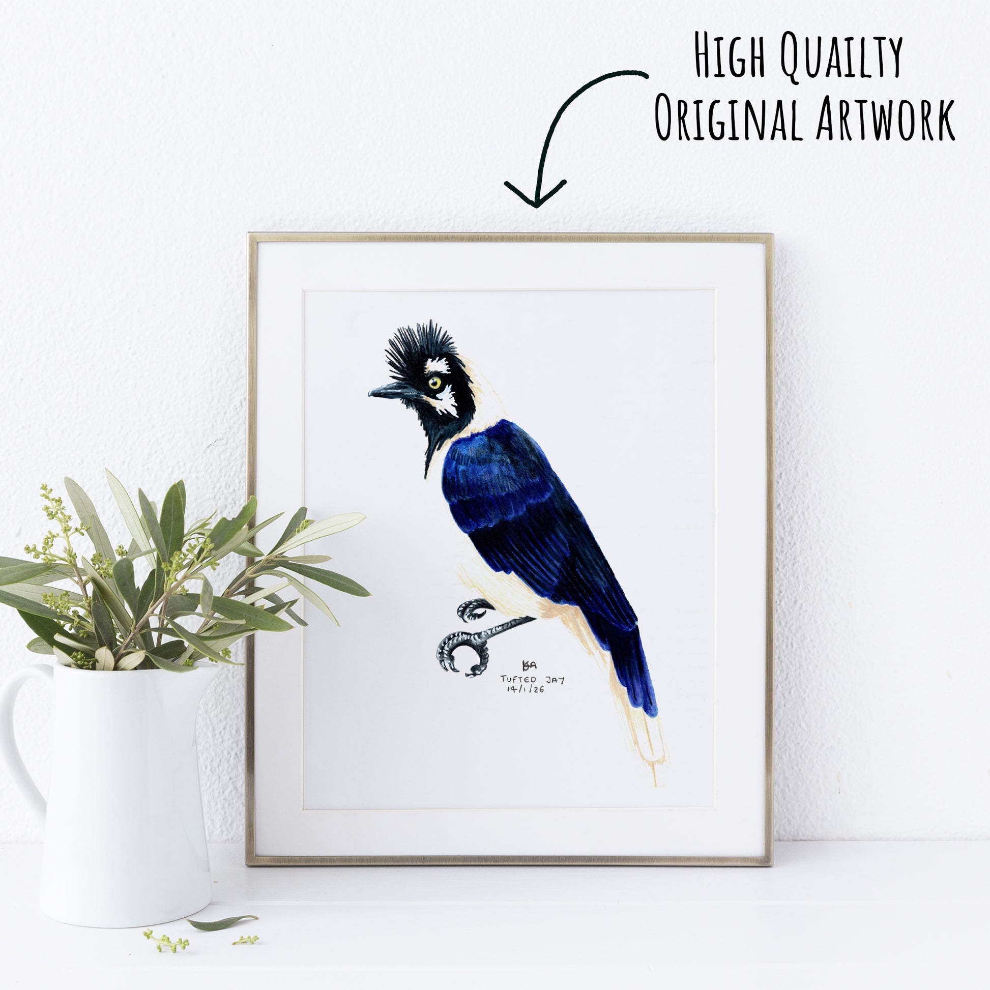 Framed artwork of a blue tufted jay bird with a plant on a white surface