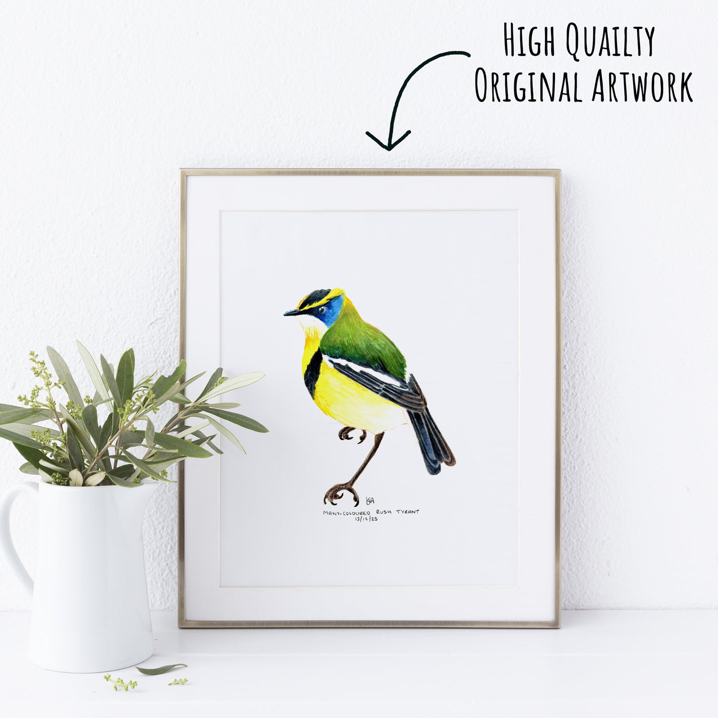 Framed artwork of a colourful Many-coloured Rush Tyrant bird on a white wall with a plant to the left.