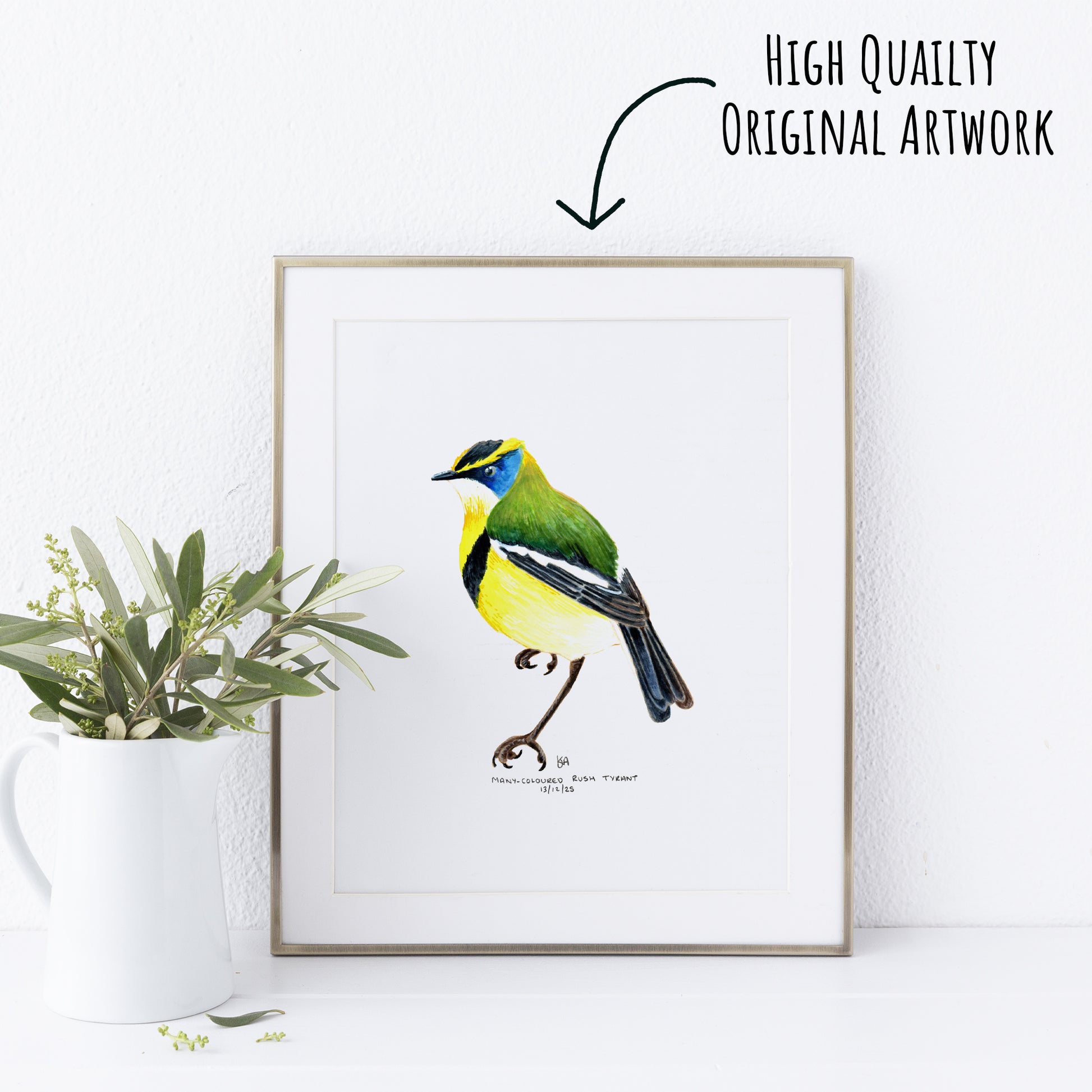 Framed artwork of a colourful Many-coloured Rush Tyrant bird on a white wall with a plant to the left.
