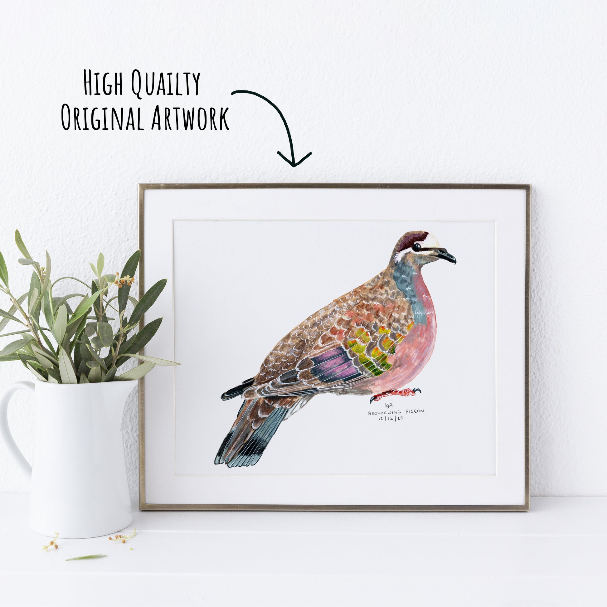 Framed watercolour painting of a colourful bronzewing dove bird on a white wall with a plant to the left.