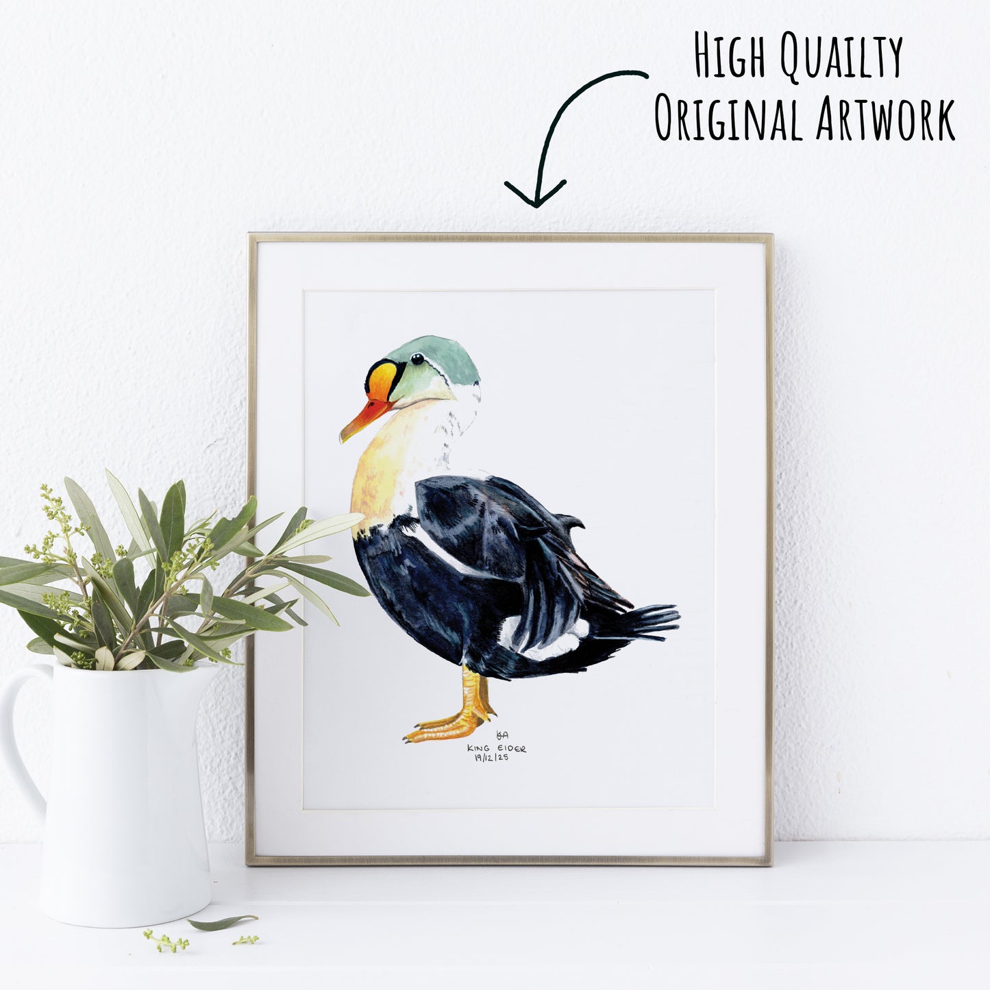Framed artwork of a King Eider Duck on a white wall with a plant to the left.