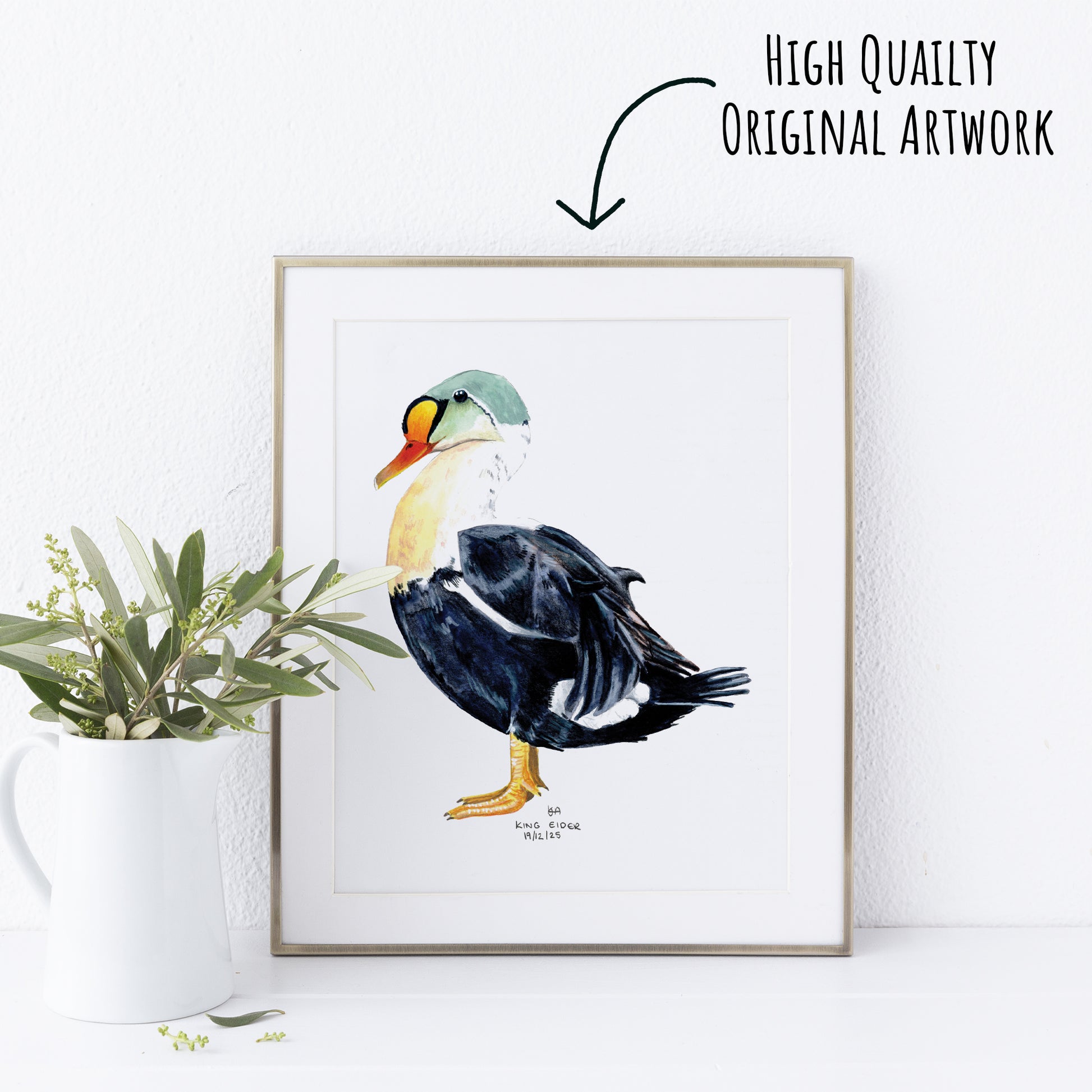 Framed artwork of a King Eider Duck on a white wall with a plant to the left.