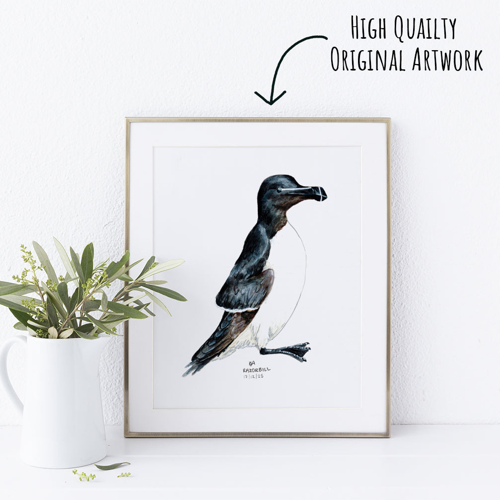 Framed artwork of a Razorbill bird on a white wall with a plant to the left.