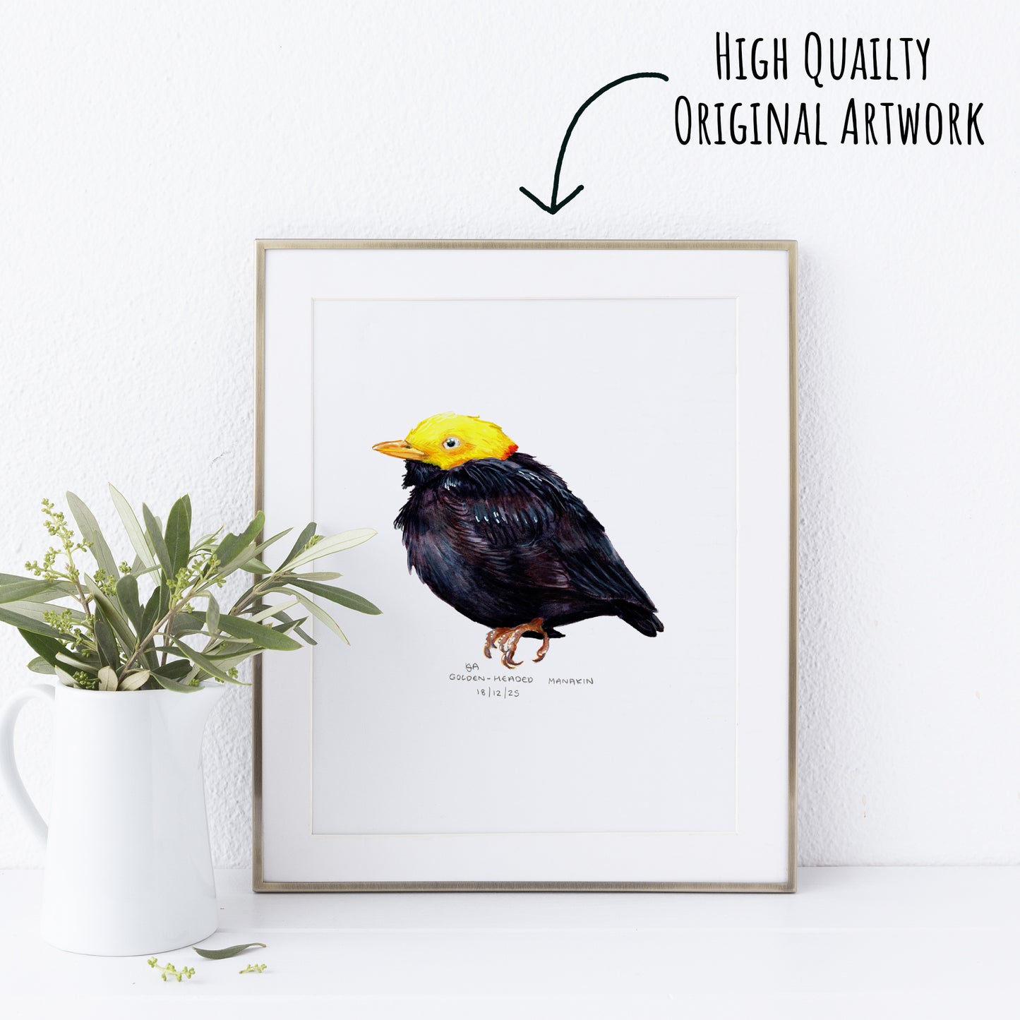 Framed artwork of a Golden-Headed Manakin bird with a yellow head and black body on a white wall with a plant.