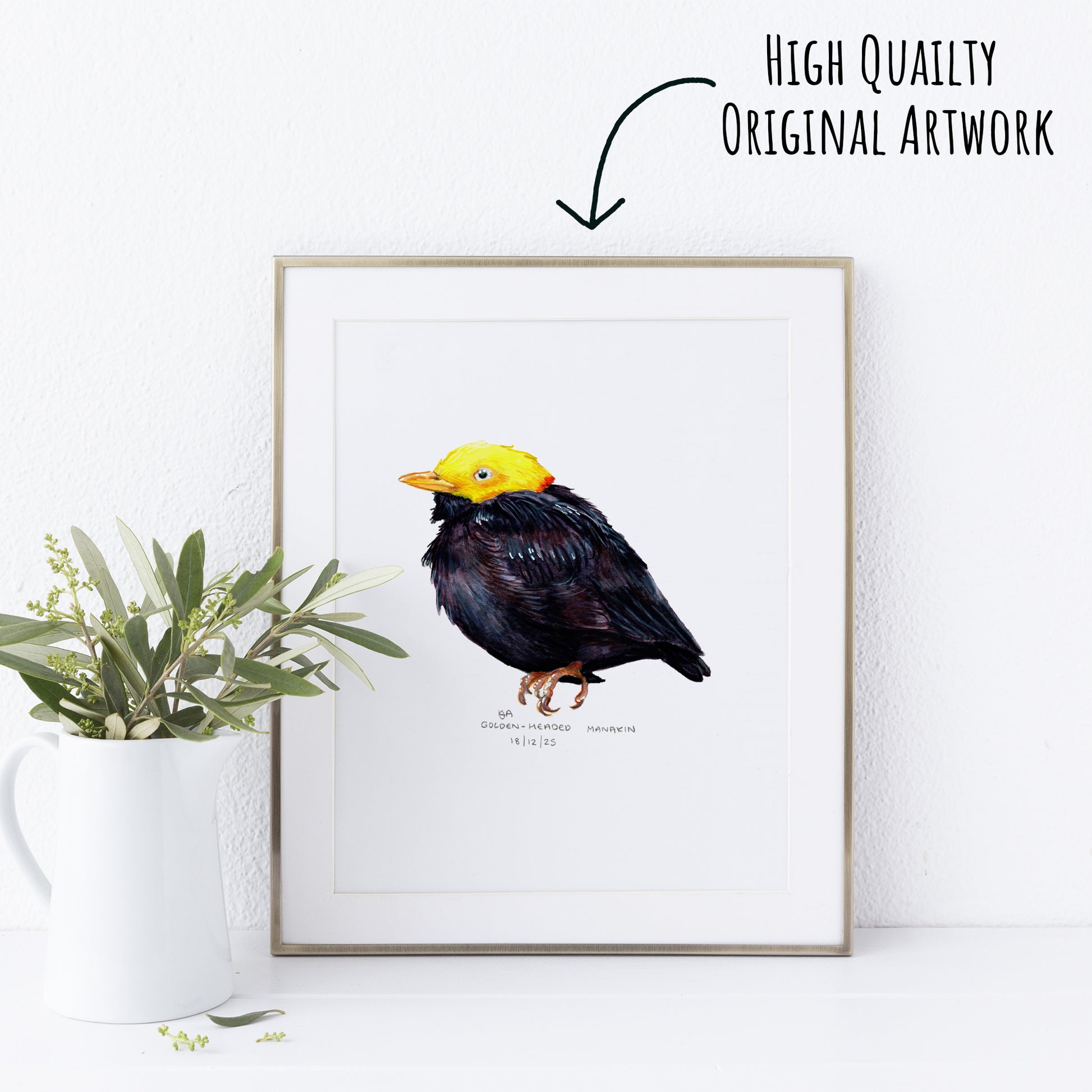 Framed artwork of a Golden-Headed Manakin bird with a yellow head and black body on a white wall with a plant.