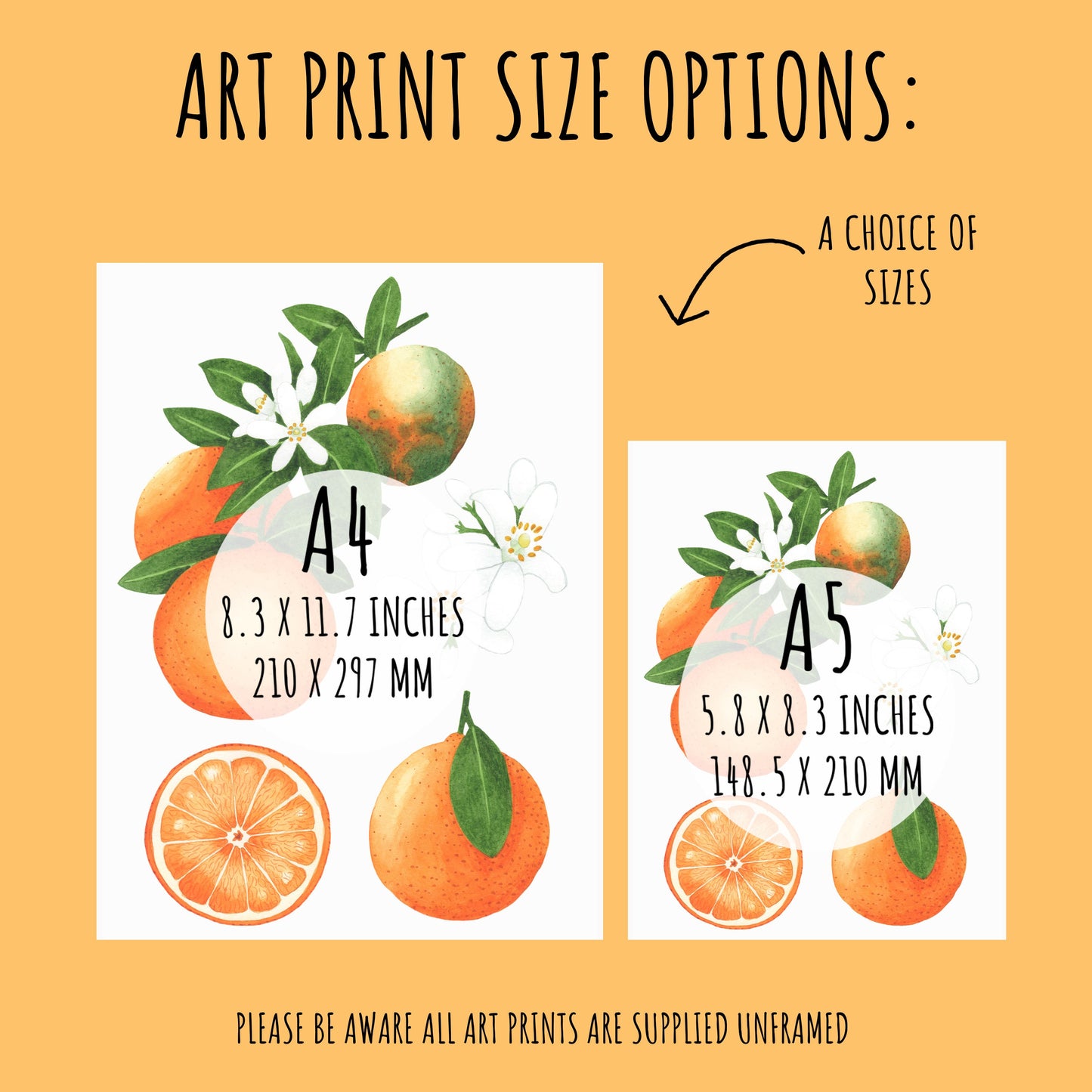 Botanical Orange Art Print - A4 & A5 Citrus Illustration for Kitchen Wall Deco