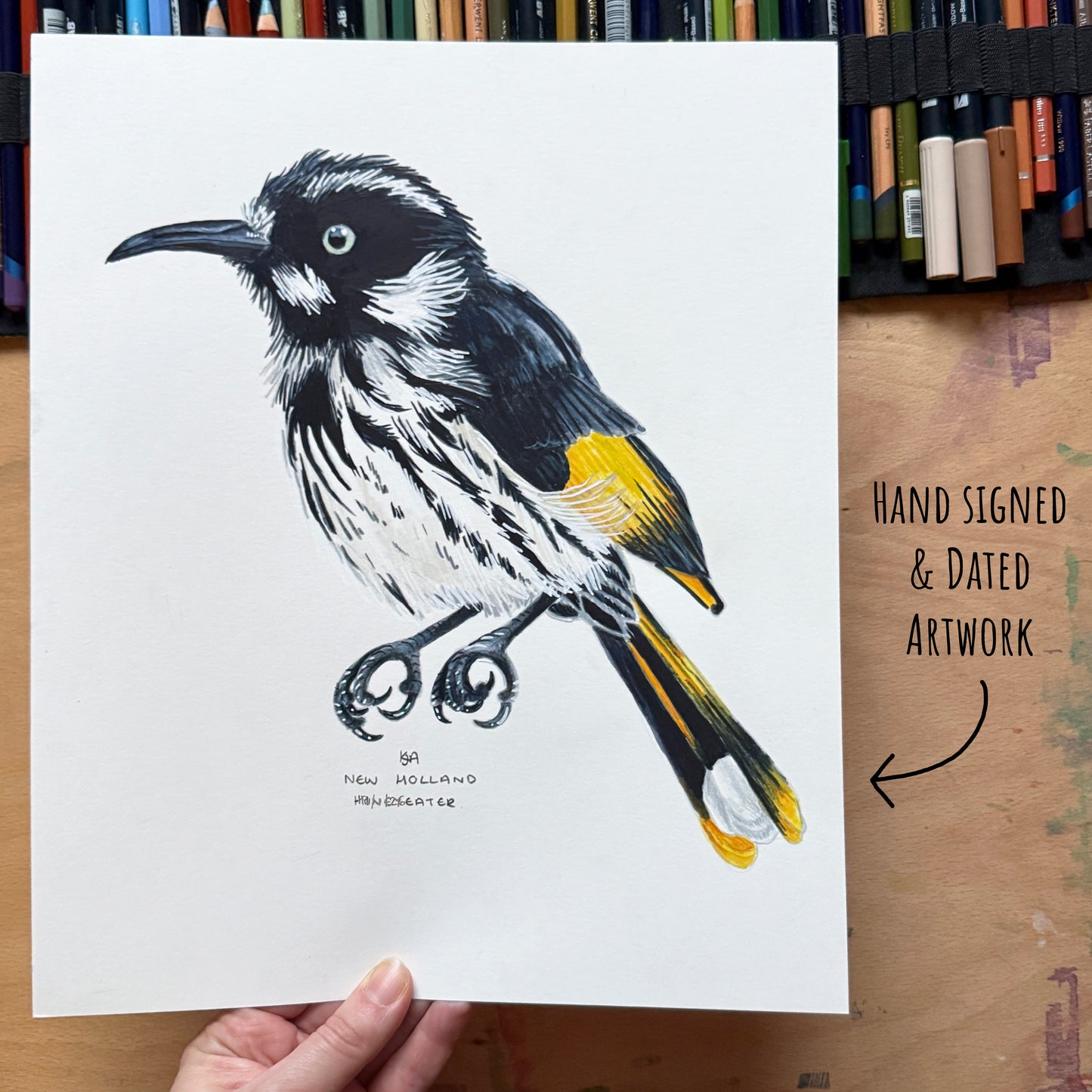 Hand-signed and dated artwork of a new Holland honeyeater bird on a white sheet with a hand holding it, set against a wooden background with art supplies.