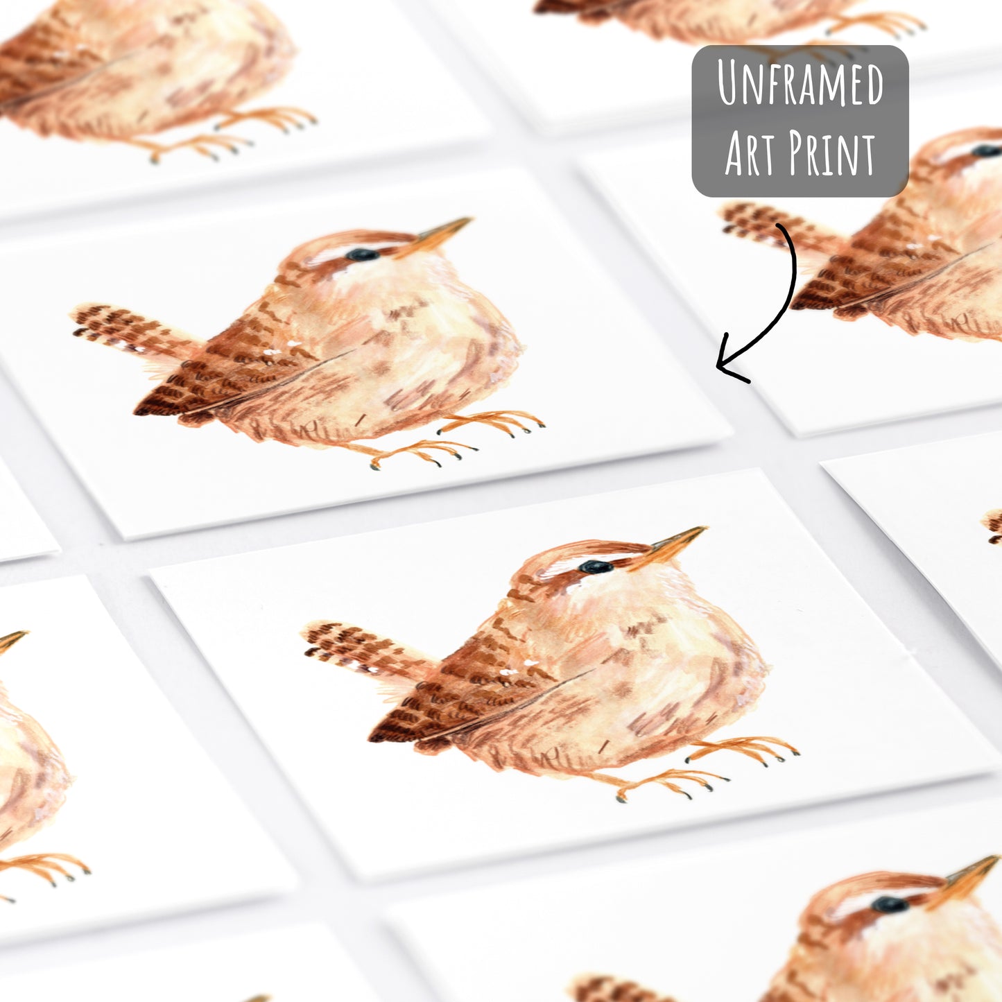 Wren Bird Art Print - Square Unframed Garden Wildlife Illustration