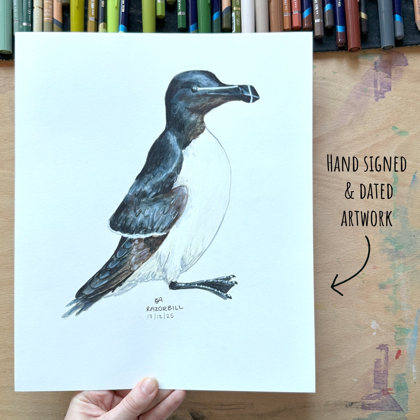 Hand-signed and dated artwork of a Razorbill bird held by a hand on a wooden surface with pencils in the background.